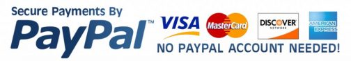 Secure online transactions with PayPal